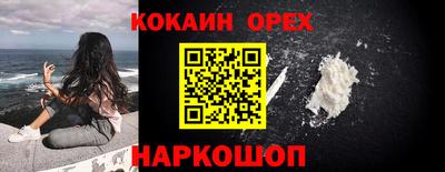 крисы Кулебаки