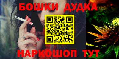 крисы Кулебаки