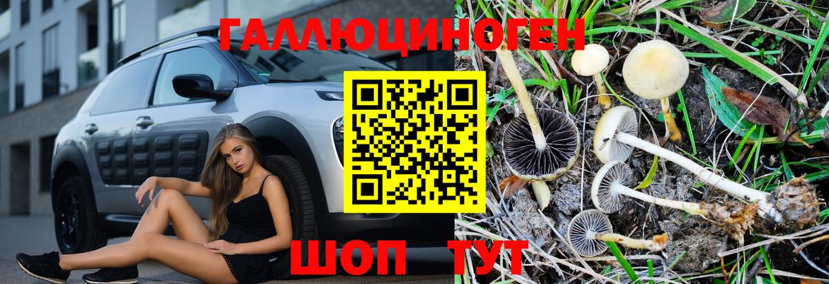 Псилоцибиновые грибы Magic Shrooms  Вход с VPN  Псилоцибиновые грибы Psilocybe  Губкинский 